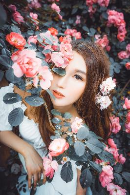 三年成全在线观看免费高清电视剧	1389